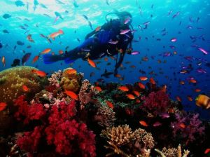 3.-Conquer-the-fears-of-water-with-Scuba-Diving-in-Andaman